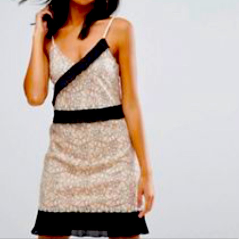 River island embroidered dress